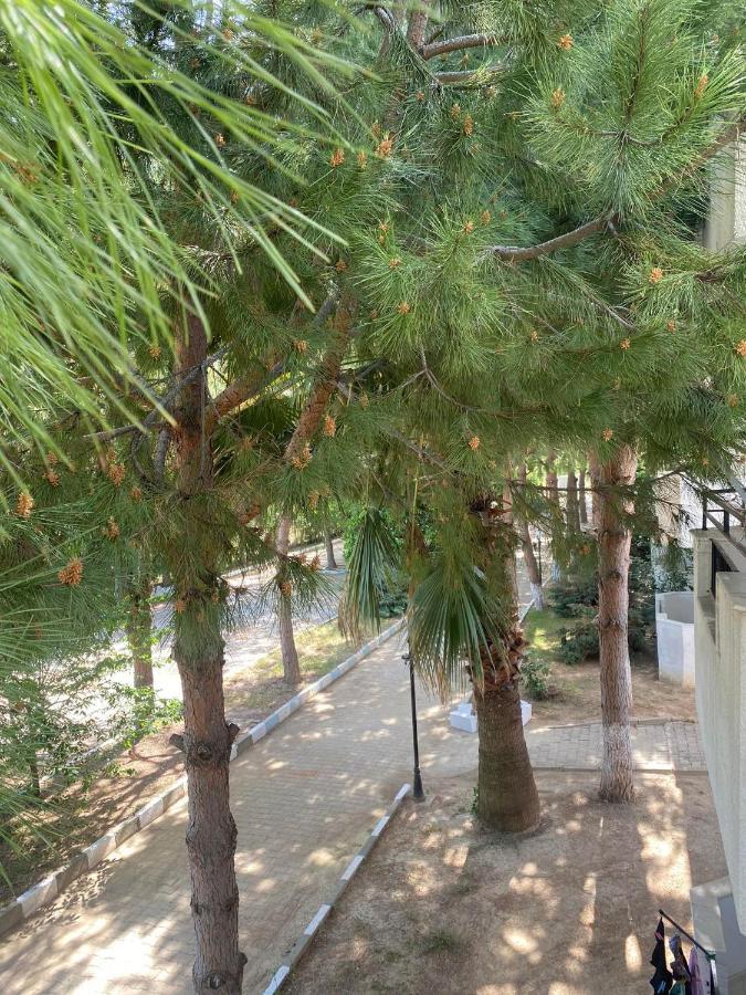 Palm Club Apart Otel Kusadasi Bagian luar foto